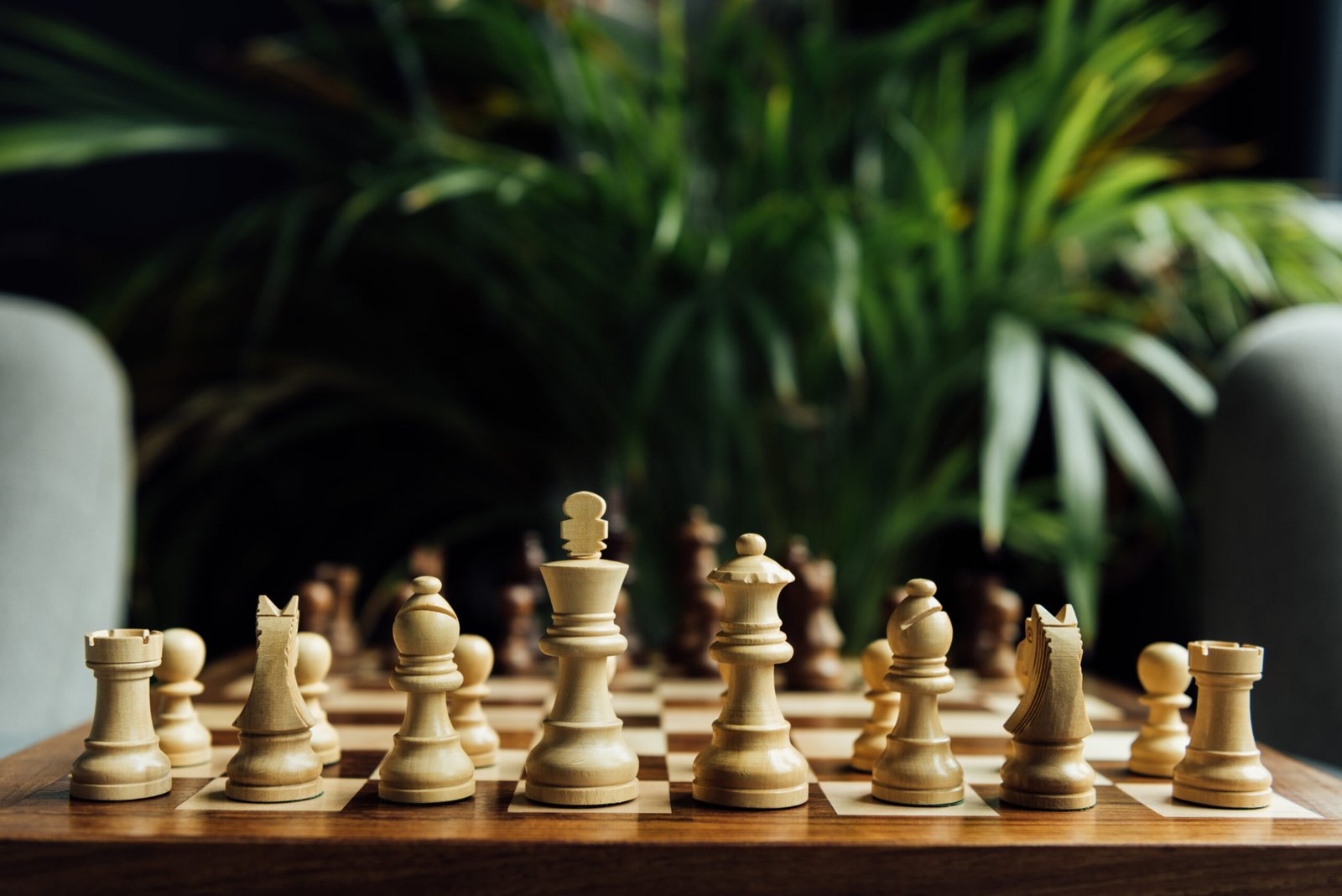 Chess for Beginners : The Ultimate Guide to Learn How to Play