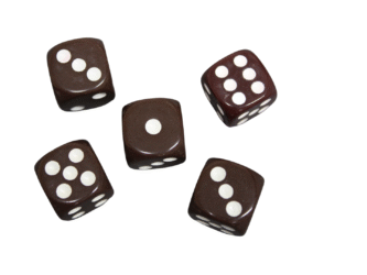 Opaque Brown 16 mm D6 Roll Playing Game Dices with White Dots